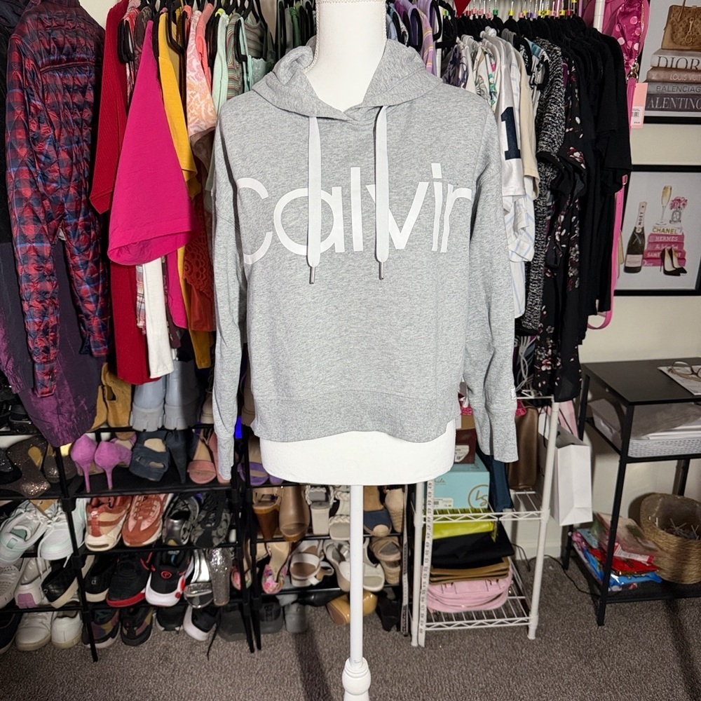 Calvin Klein Light Gray Logo Hoodie size small - Picture 2 of 7